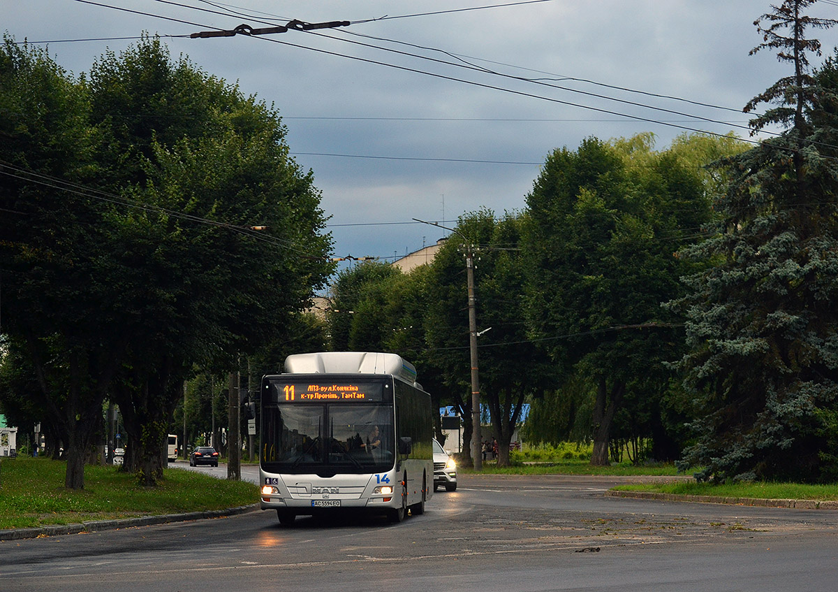 Волынская область, MAN A21 Lion's City NL313 CNG № 14