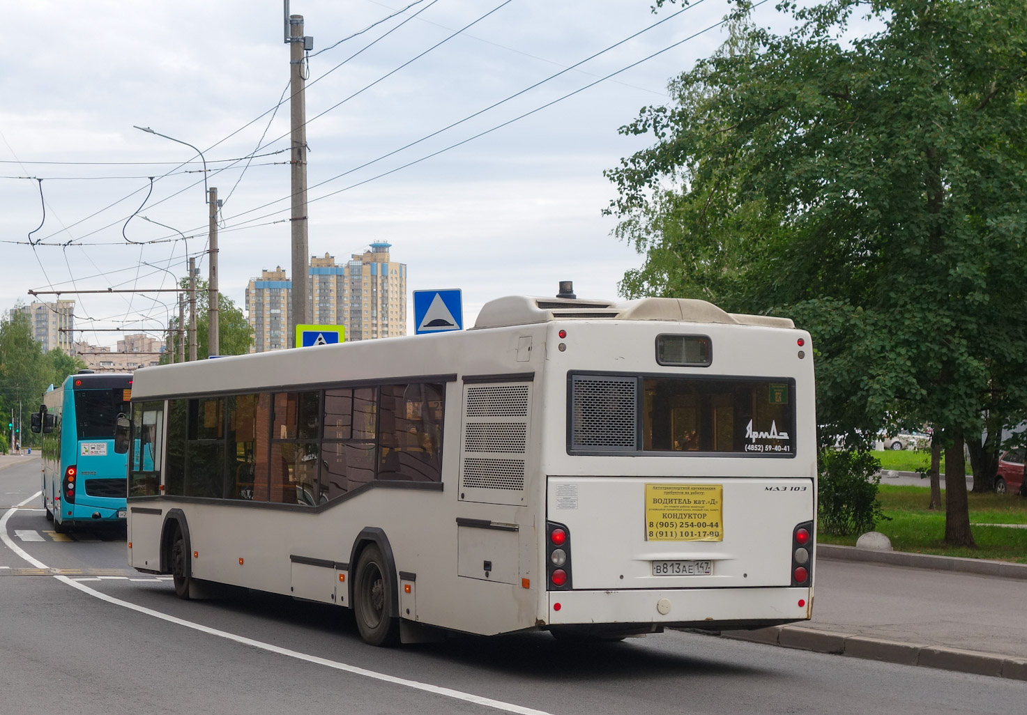 Ленинградская область, МАЗ-103.486 № В 813 АЕ 147