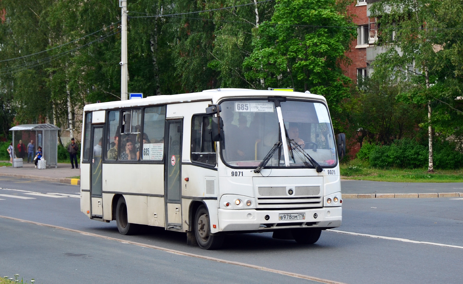 Ленинградская область, ПАЗ-320402-05 № 9071