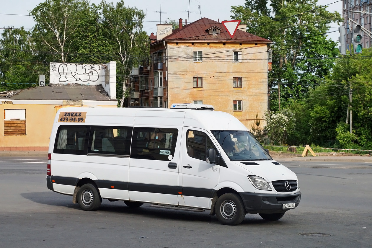 Нижегородская область, Луидор-223640 (MB Sprinter) № М 224 АА 152