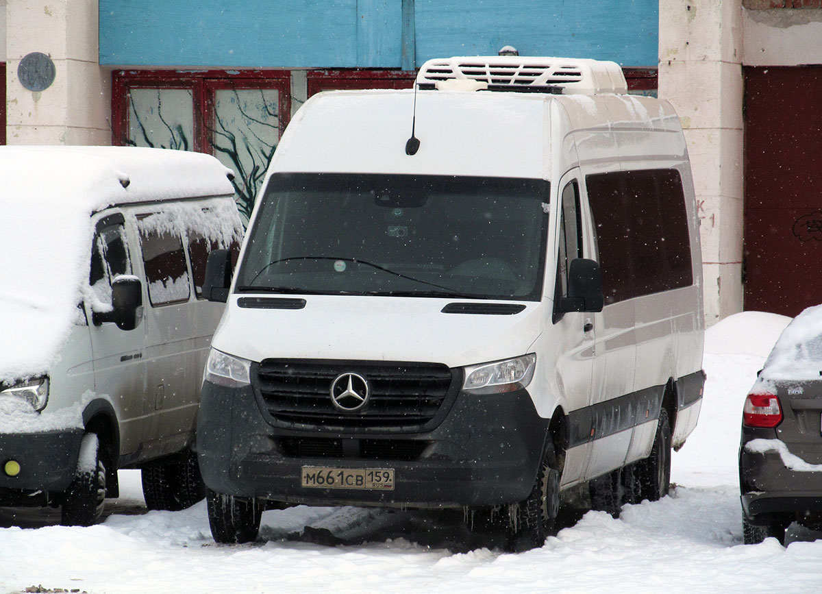Пермский край, Луидор-223602 (MB Sprinter) № М 661 СВ 159