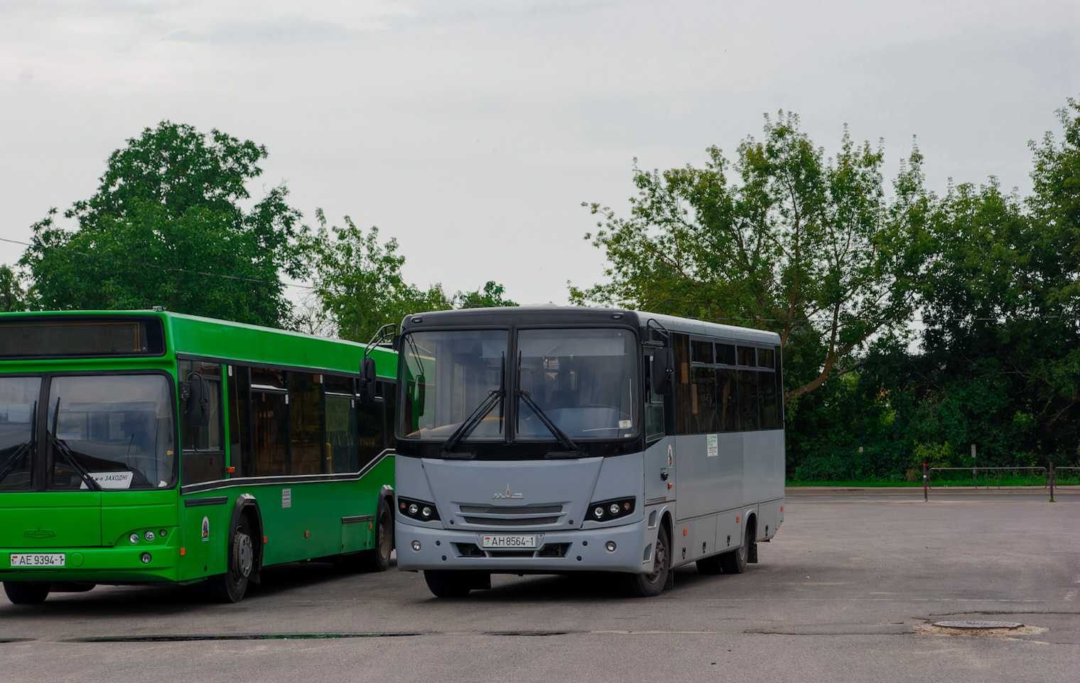 Брестская область, МАЗ-257.030 № 65137