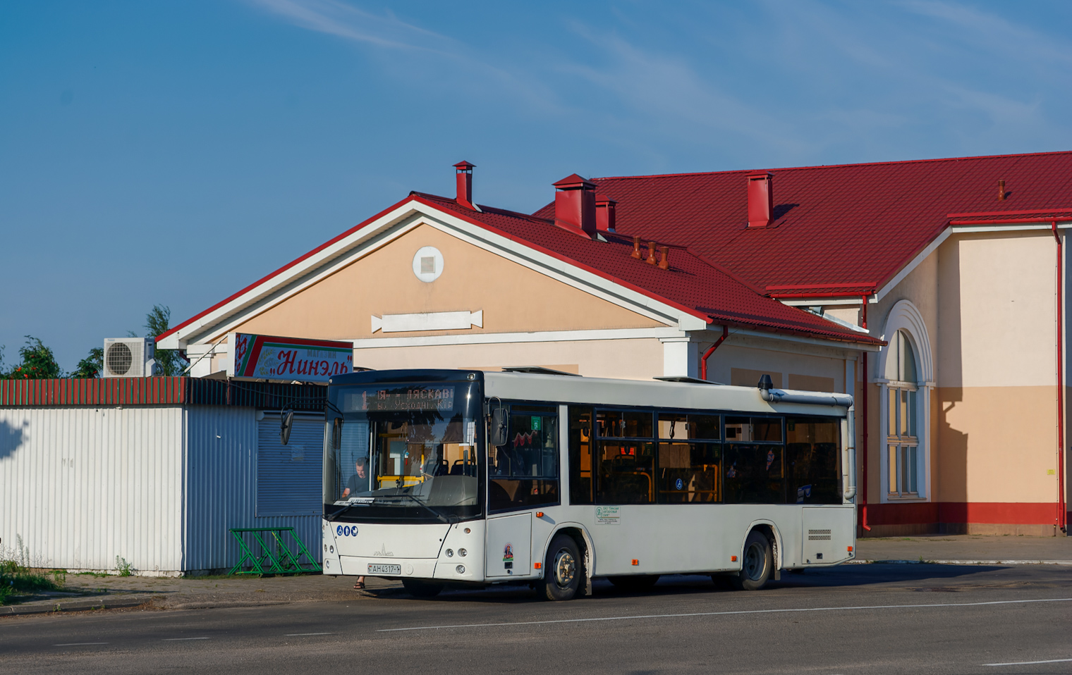 Брестская область, МАЗ-206.086 № 65102