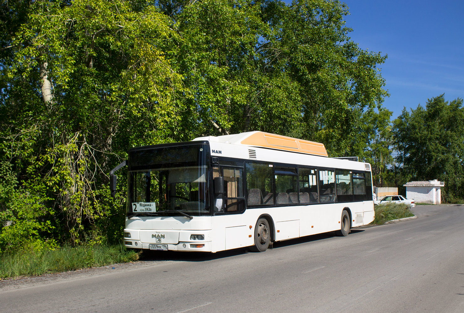 Свердловская область, MAN A20 NÜ313 CNG № О 559 МК 196