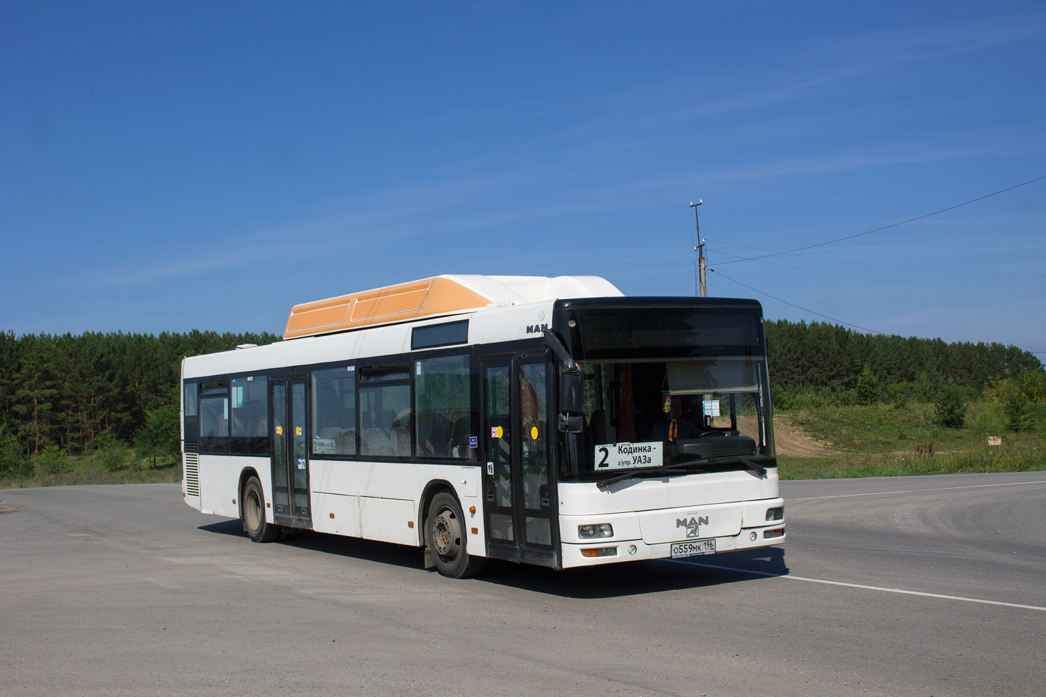 Свердловская область, MAN A20 NÜ313 CNG № О 559 МК 196