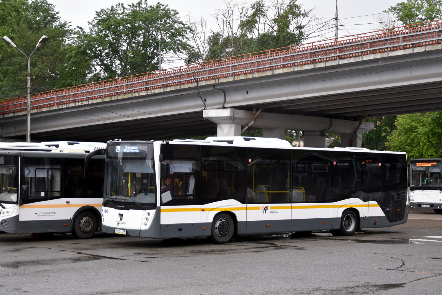 Московская область, НефАЗ-5299-31-52 № 046657