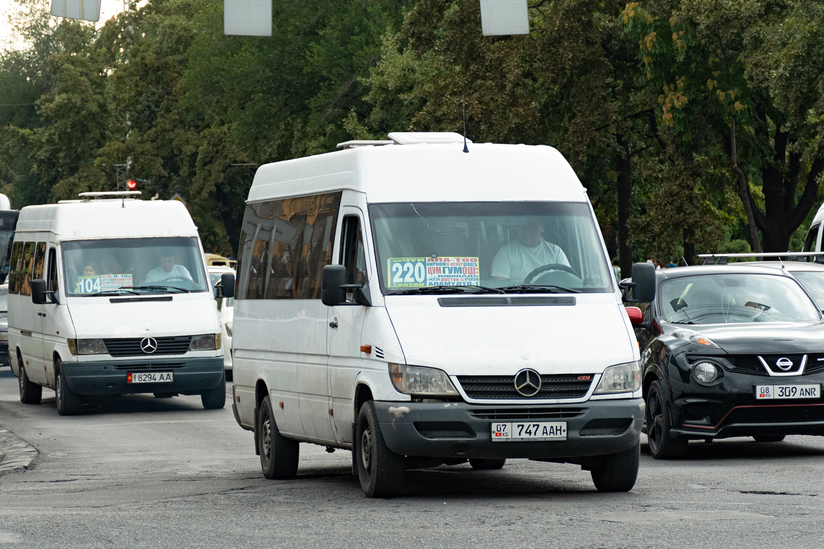 Кыргызстан, Mercedes-Benz Sprinter W903 316CDI № 07 747 AAH