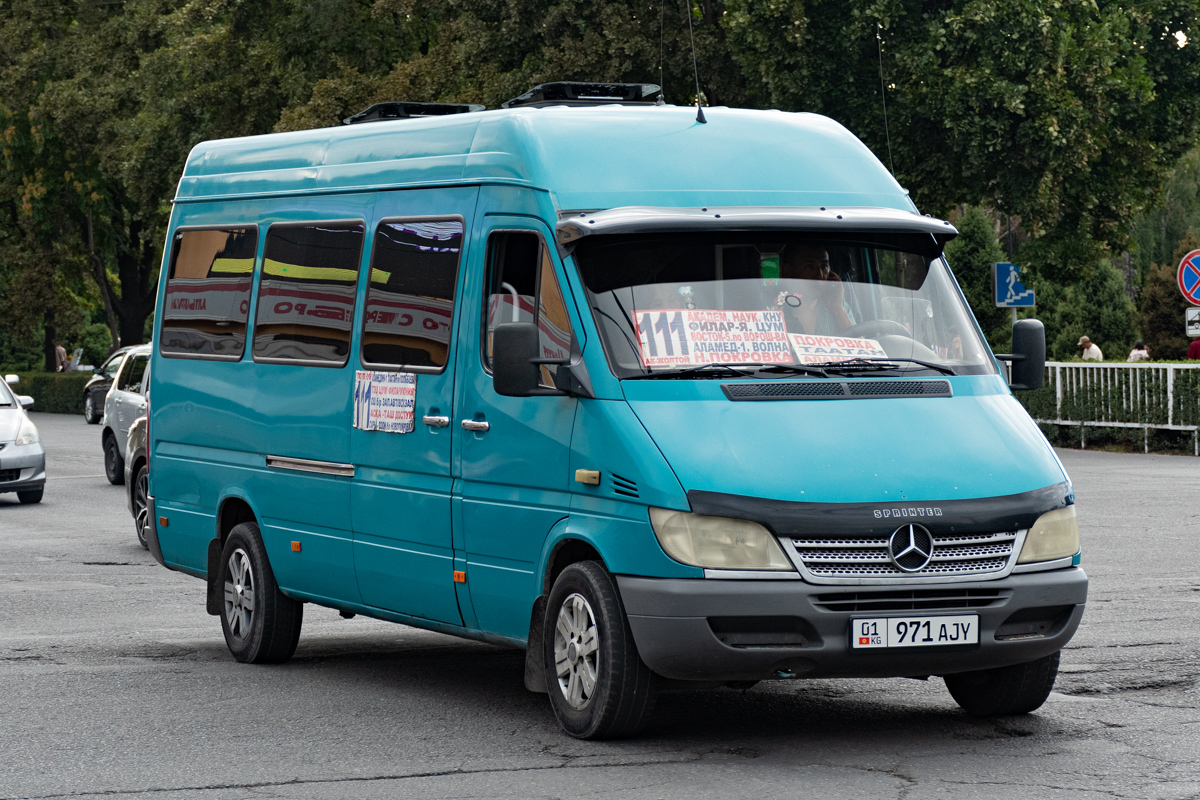 Кыргызстан, Mercedes-Benz Sprinter W903 311CDI № 01 971 AJY