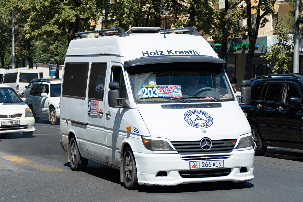 Кыргызстан, Mercedes-Benz Sprinter W901/W902 213CDI № 01 266 AIN