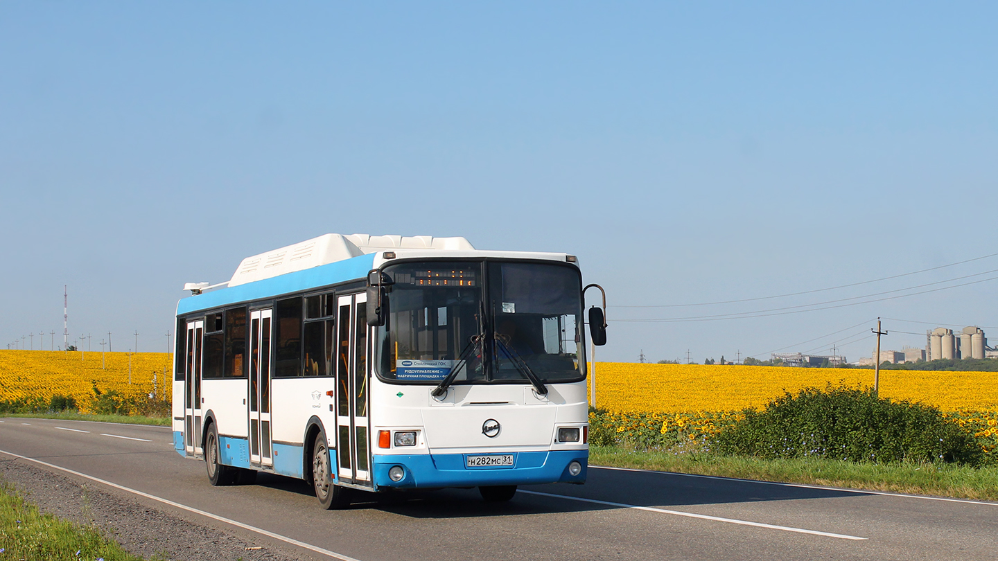 Мс 31. ЛИАЗ-5256 автобус.