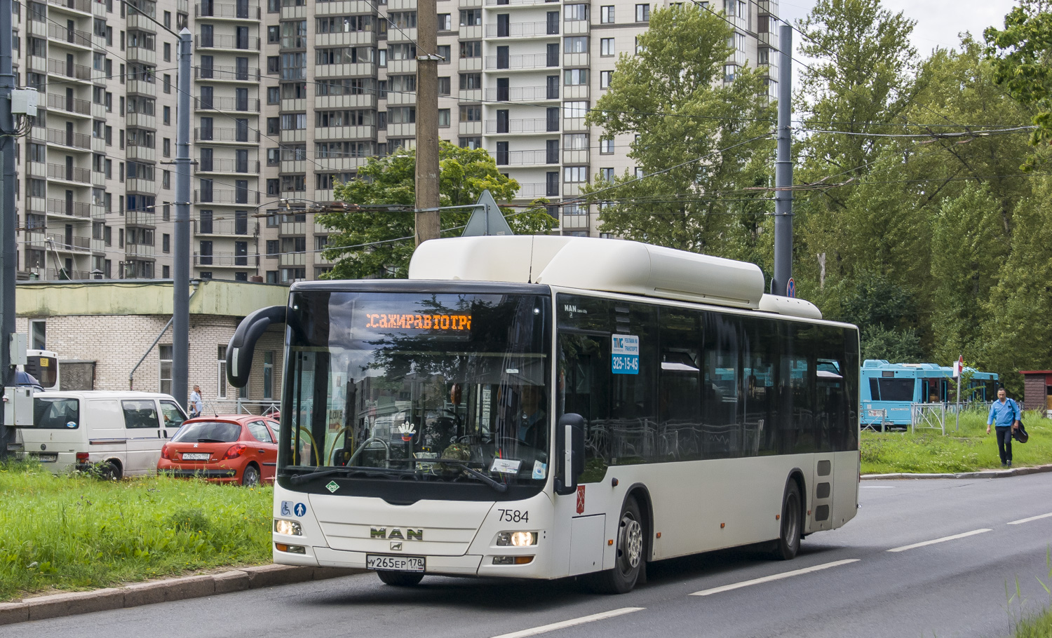 Санкт-Петербург, MAN A21 Lion's City NL313 CNG № 7584