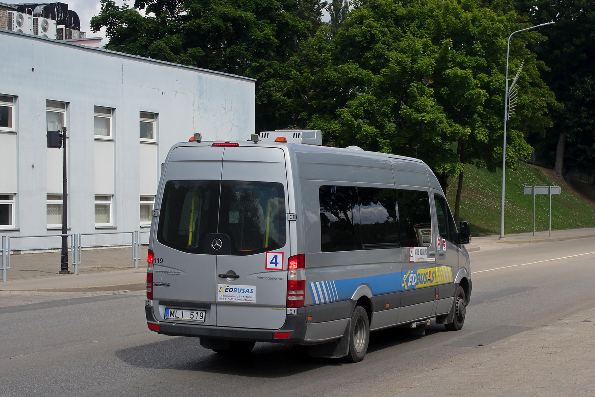 Литва, Mercedes-Benz Sprinter Transfer 45 № 119