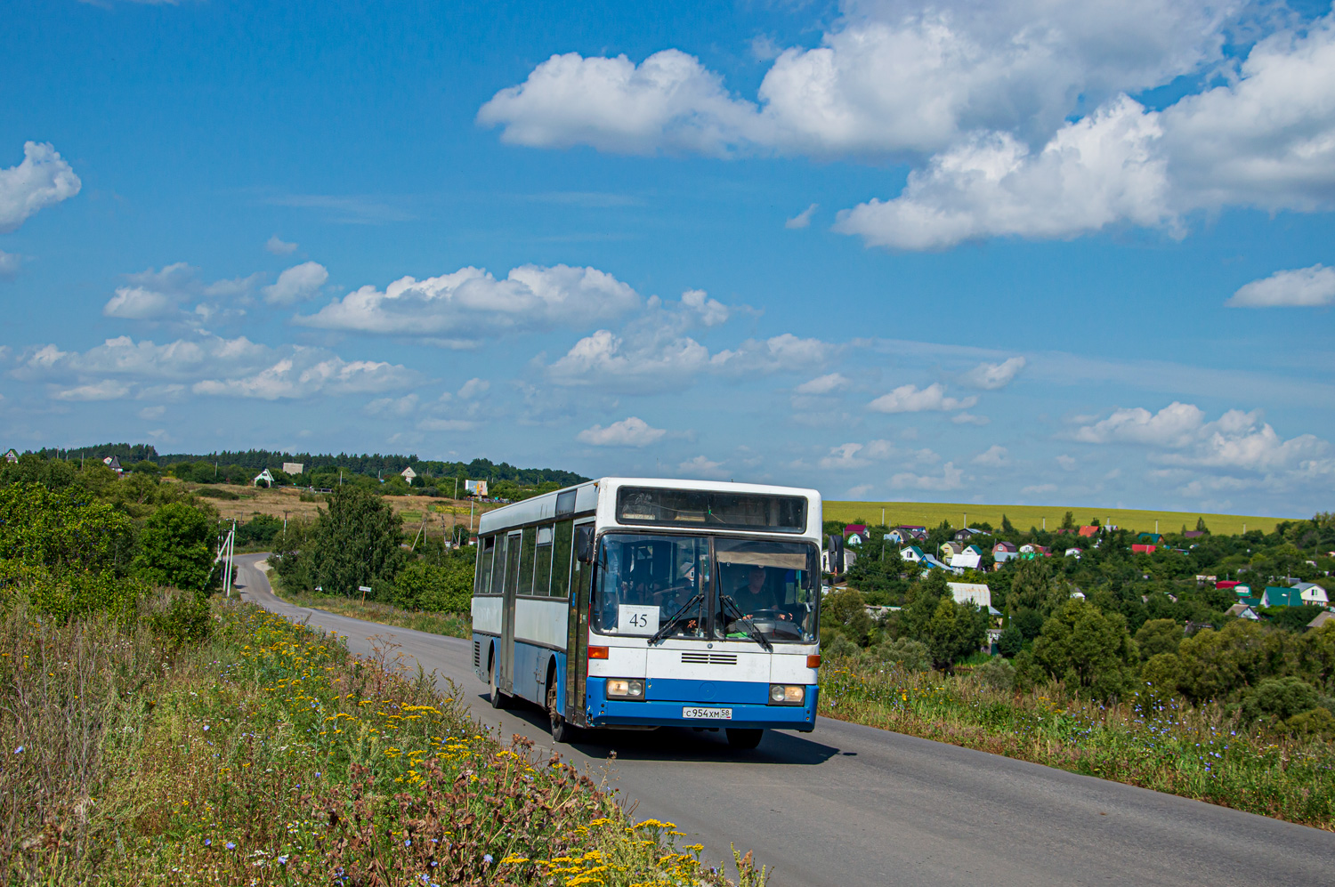 Пензенская область, Mercedes-Benz O405 № С 954 ХМ 58