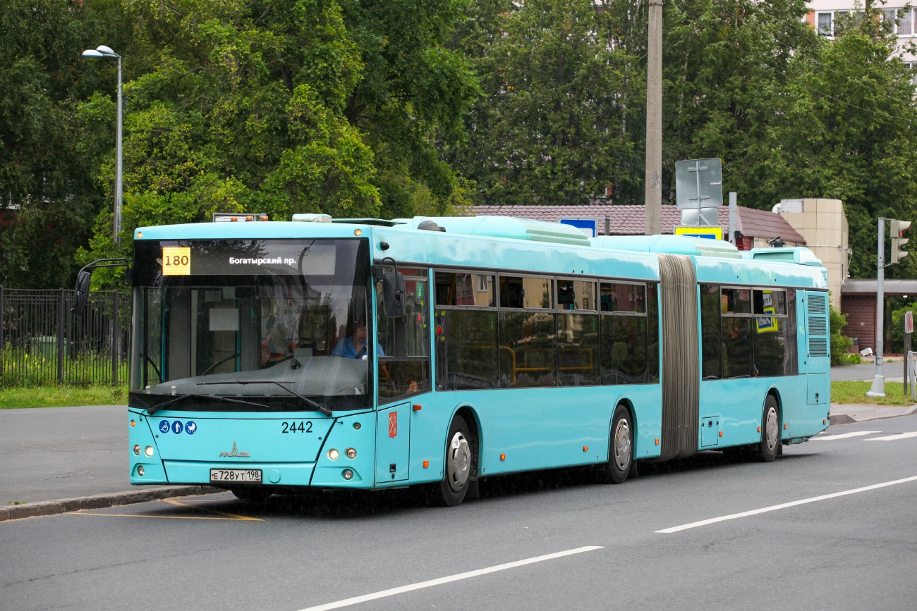 Санкт-Петербург, МАЗ-216.066 № 2442