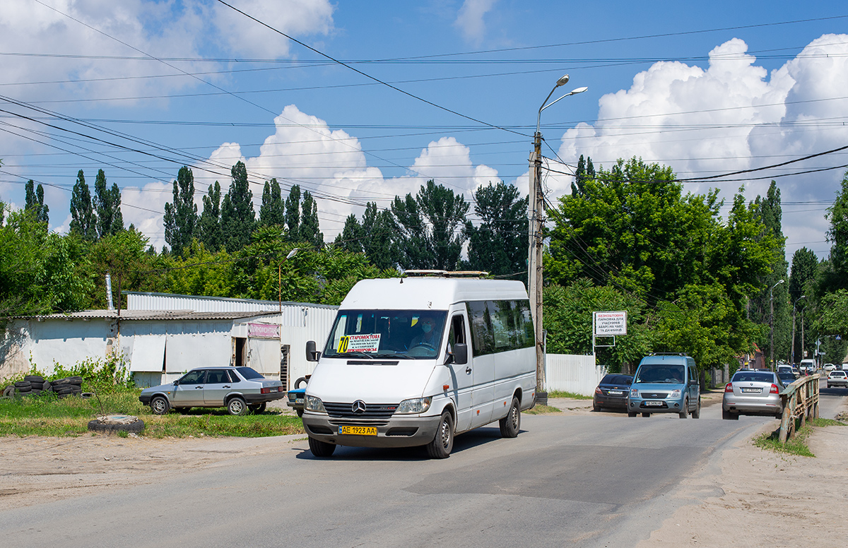 Днепропетровская область, Mercedes-Benz Sprinter W903 313CDI № 11245