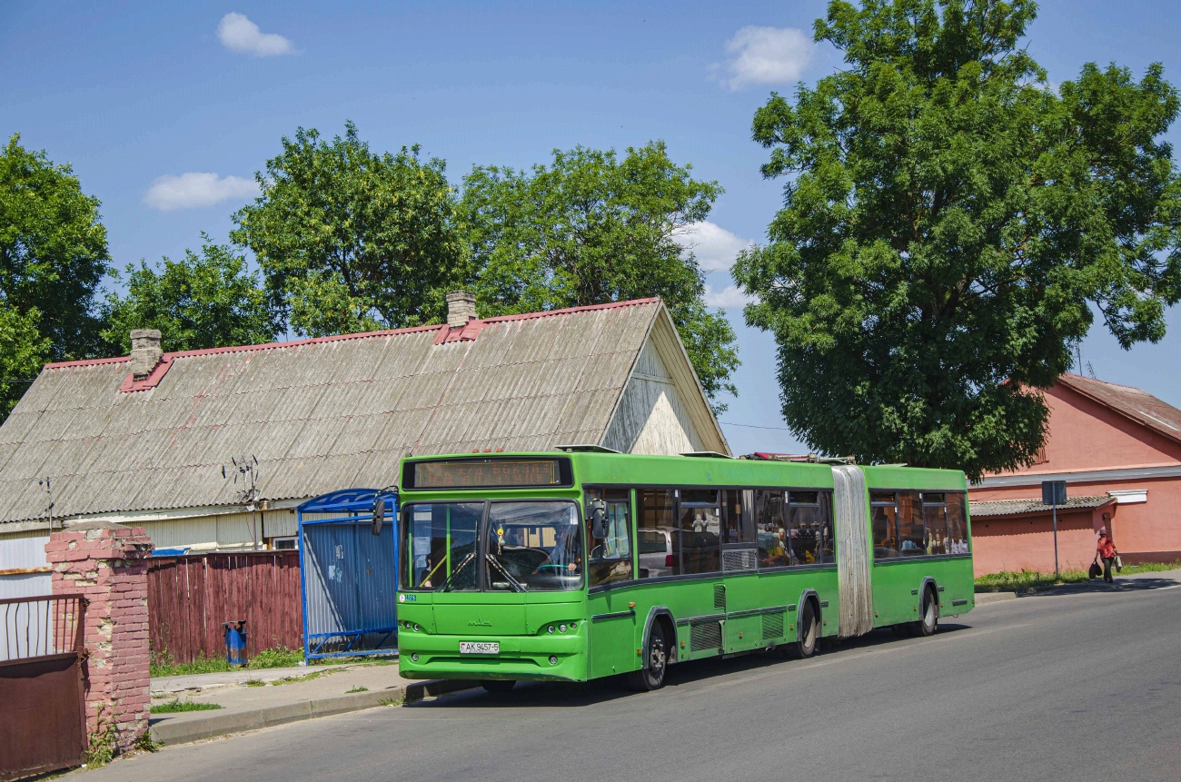 Мінская вобласць, МАЗ-105.465 № 14869