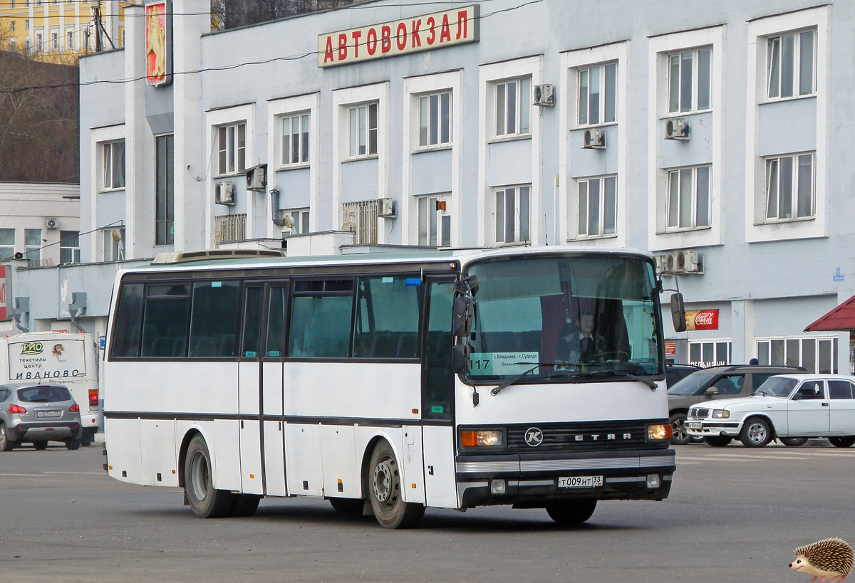 Владимирская область, Setra S213RL № Т 009 НТ 33