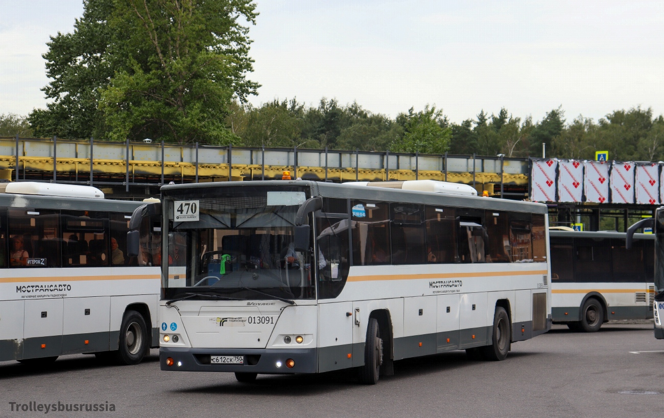 Московская область, ЛиАЗ-5250 № 013091