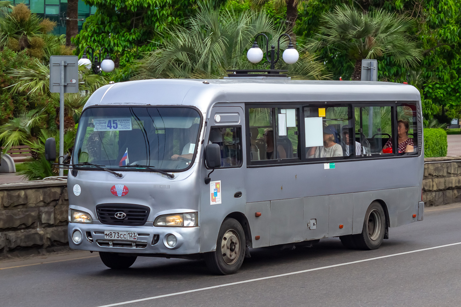 Краснодарский край, Hyundai County LWB C09 (ТагАЗ) № М 873 СС 123