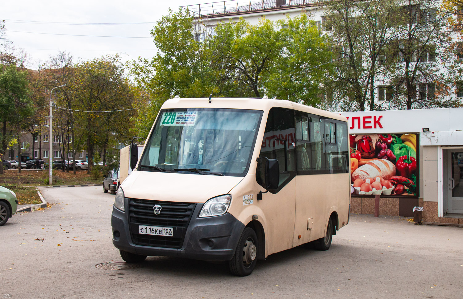 Башкортостан, ГАЗ-A64R42 Next № С 116 КВ 102