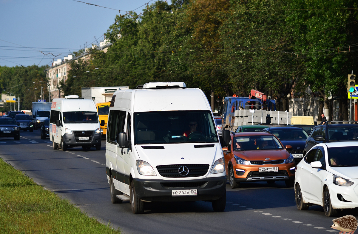 Нижегородская область, Луидор-223640 (MB Sprinter) № М 224 АА 152