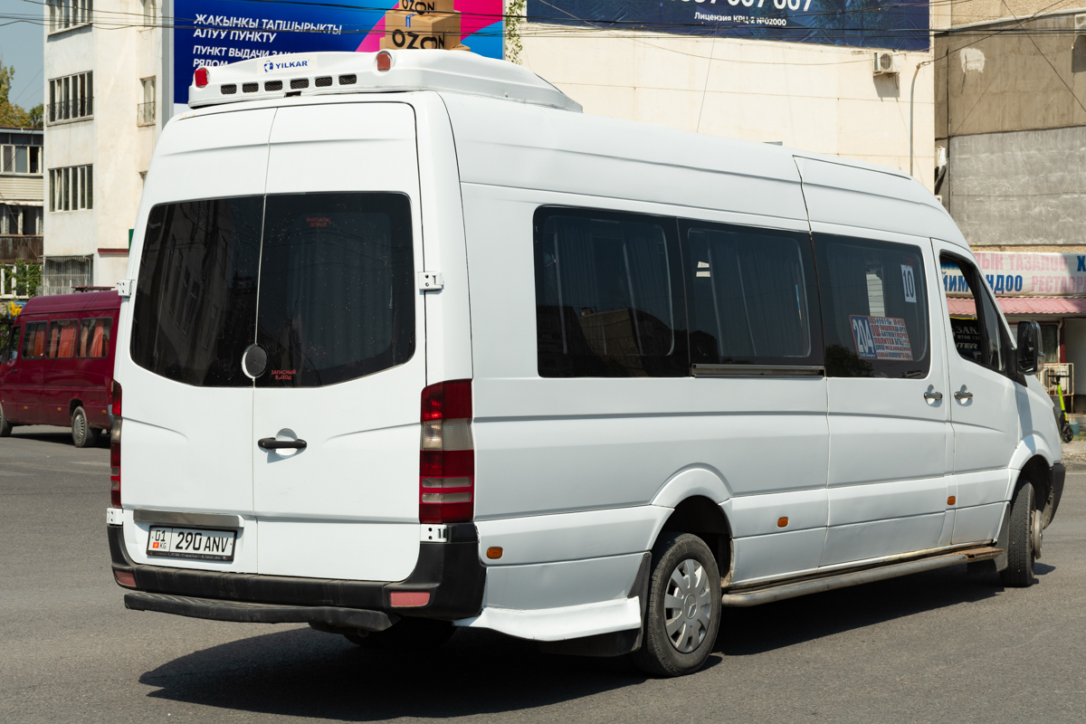 Кыргызстан, Mercedes-Benz Sprinter W906 515CDI № 01 290 ANV