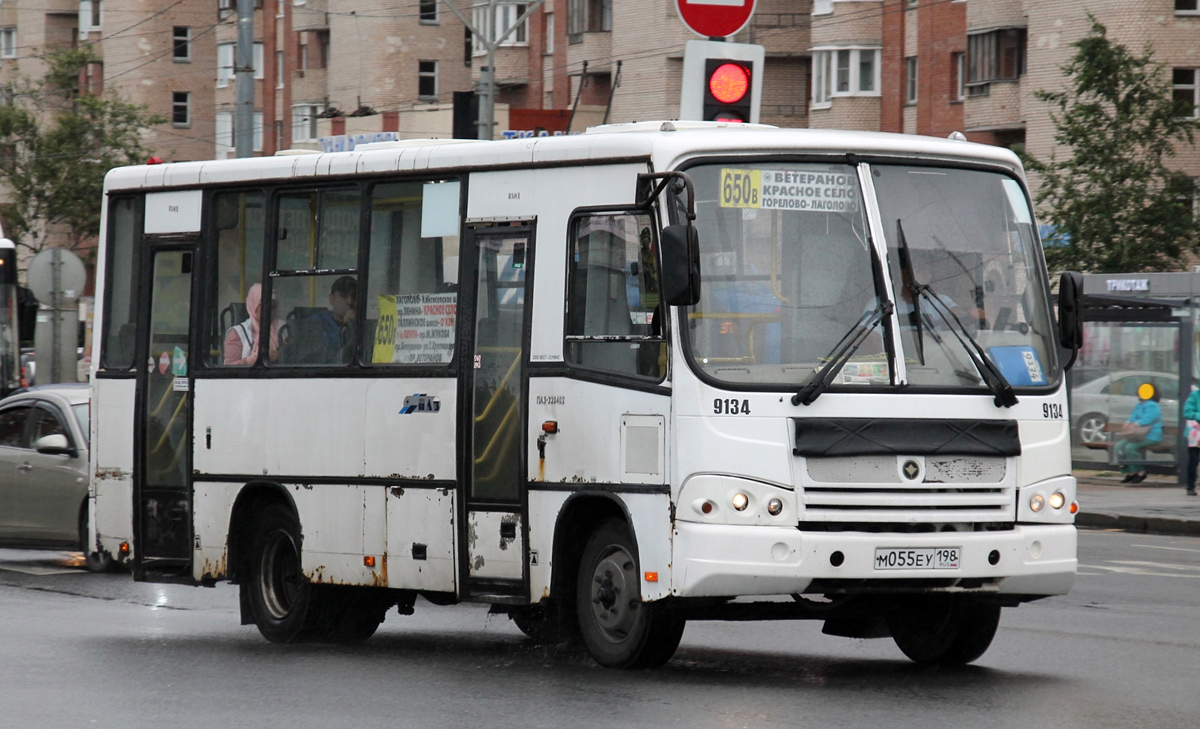 Ленинградская область, ПАЗ-320402-05 № 9134