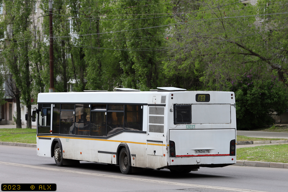 Воронежская область, МАЗ-103.465 № 13037