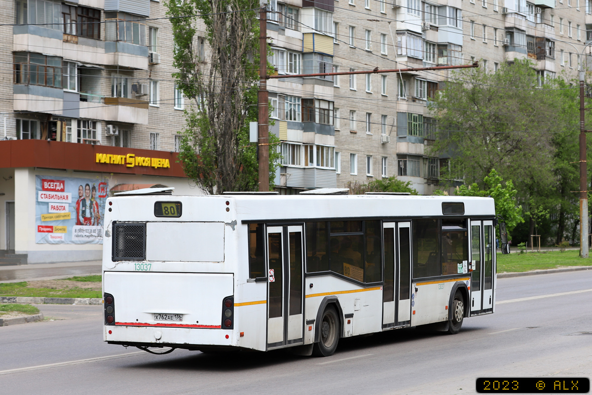 Воронежская область, МАЗ-103.465 № 13037