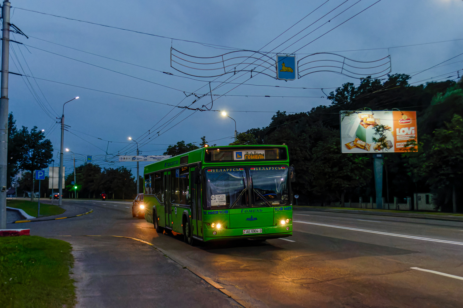 Гомельская область, МАЗ-103.562 № 036684