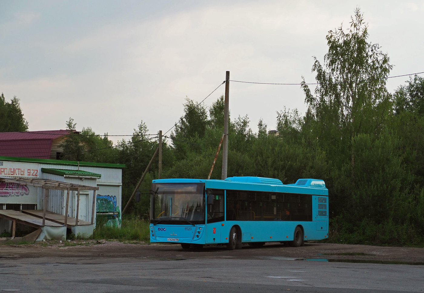 Санкт-Петербург, МАЗ-203.047 № 8520