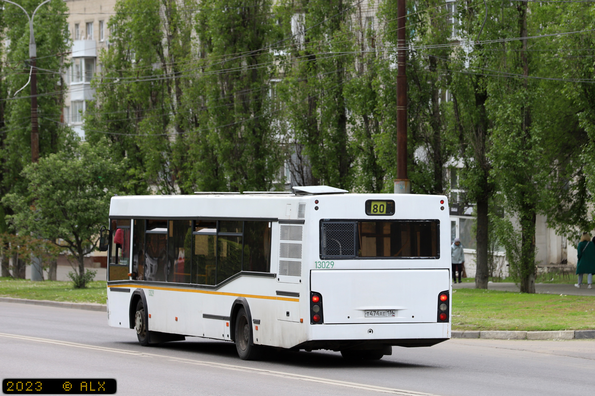 Воронежская область, МАЗ-103.465 № 13029