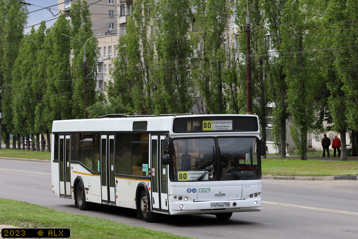 Воронежская область, МАЗ-103.465 № 13029