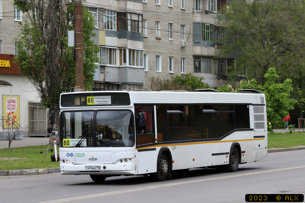 Воронежская область, МАЗ-103.465 № 13029