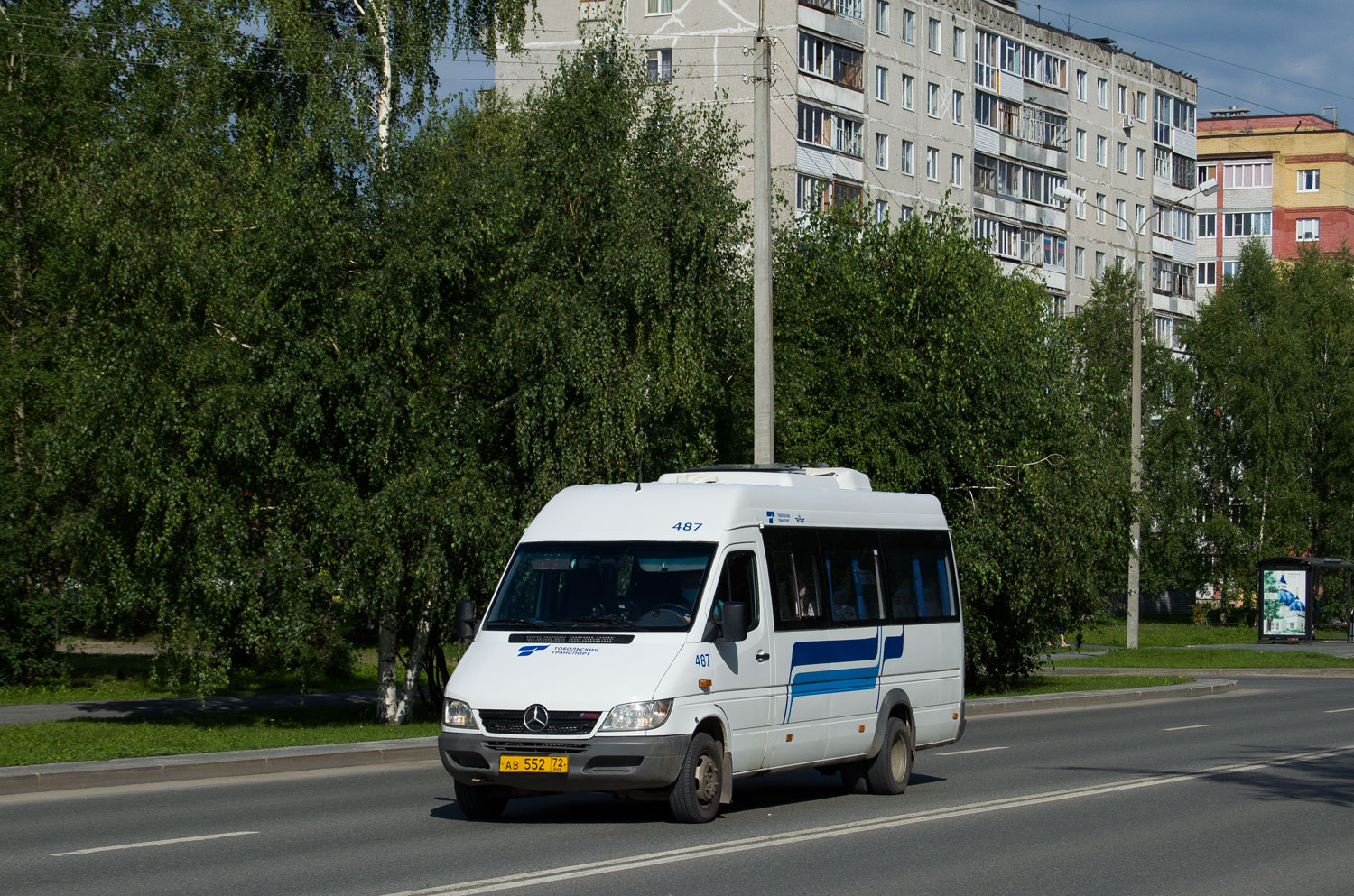 Тюменская область, Луидор-223204 (MB Sprinter Classic) № 487