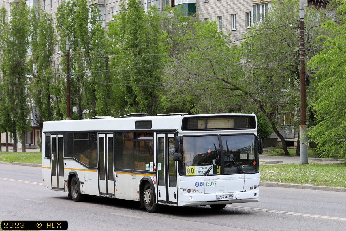 Воронежская область, МАЗ-103.465 № 13037