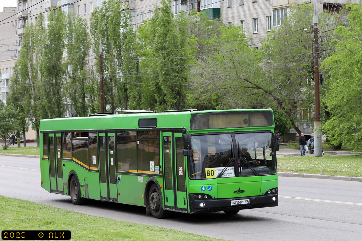 Воронежская область, МАЗ-103.465 № 13014