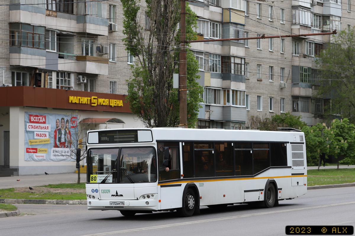 Воронежская область, МАЗ-103.465 № 13009