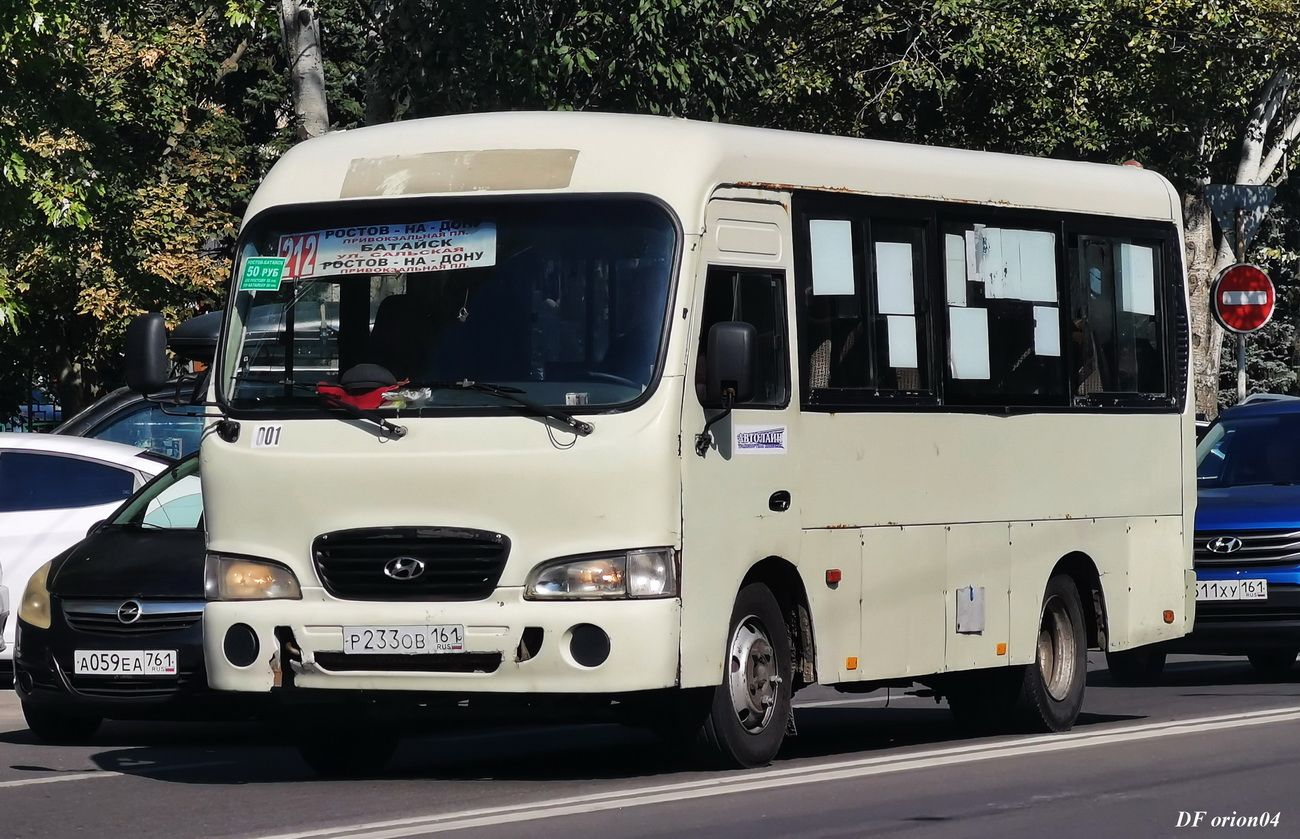 Ростовская область, Hyundai County SWB C08 (РЗГА) № 001