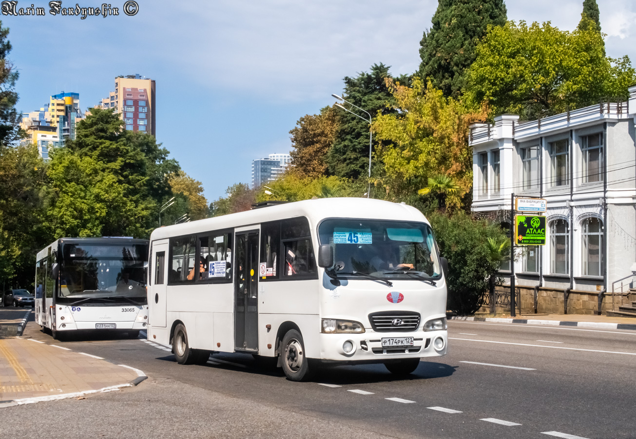 Краснодарский край, Hyundai County LWB C09 (ТагАЗ) № Р 174 РК 123