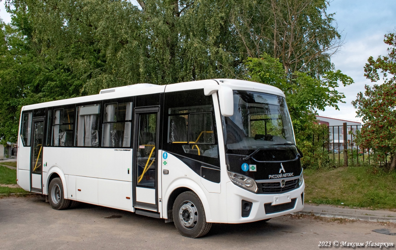 Nizhegorodskaya region — New Buses of OOO "PAZ"