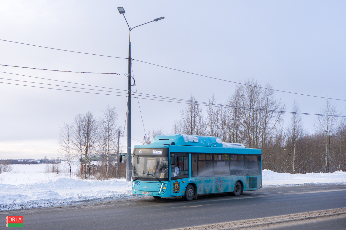 Архангельская область, МАЗ-206.948 № О 209 ТО 29