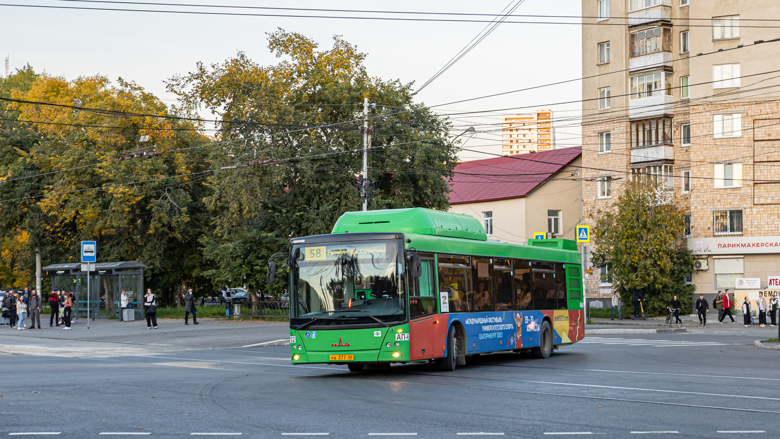 Свердловская область, МАЗ-203.L65 № 1702