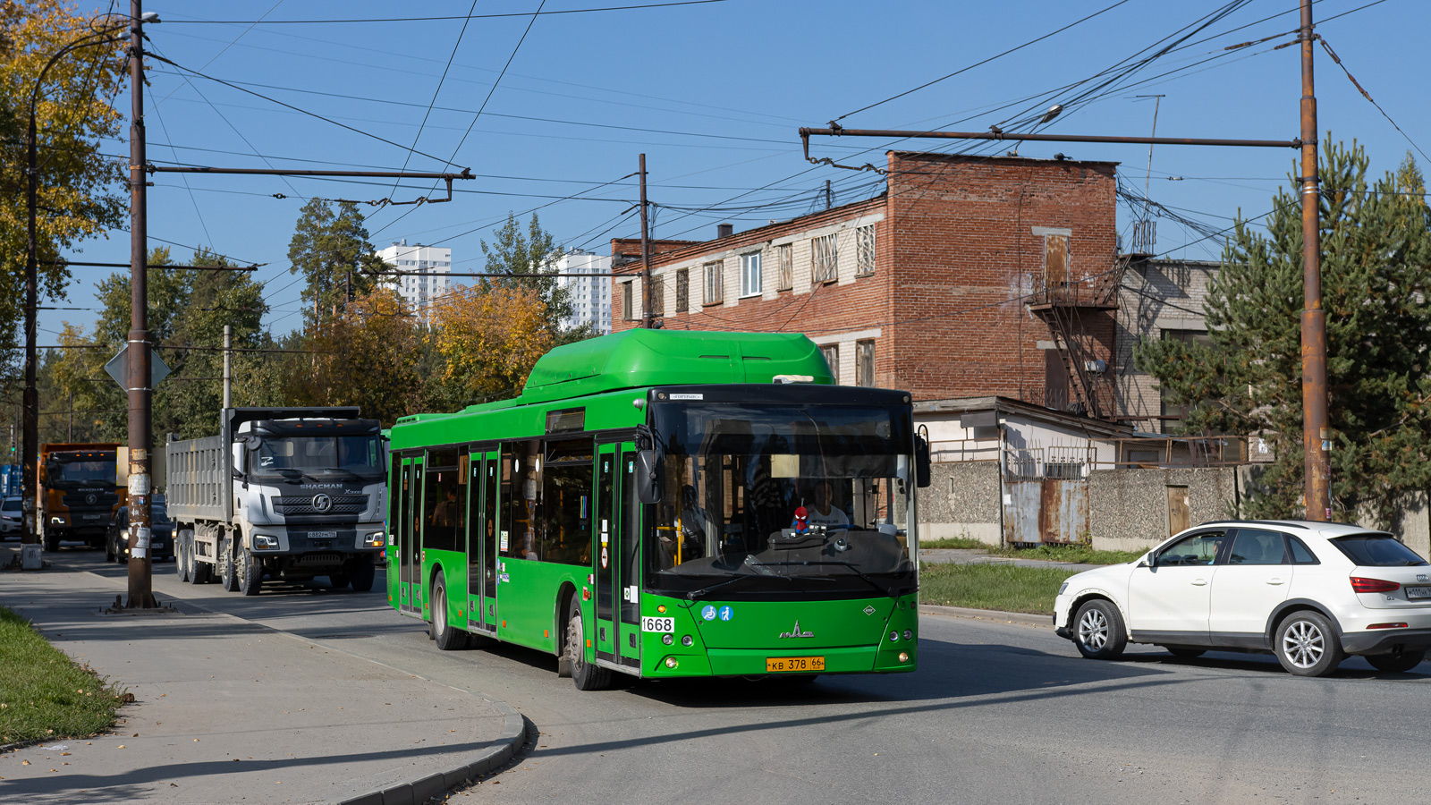 Свердловская область, МАЗ-203.L65 № 1668