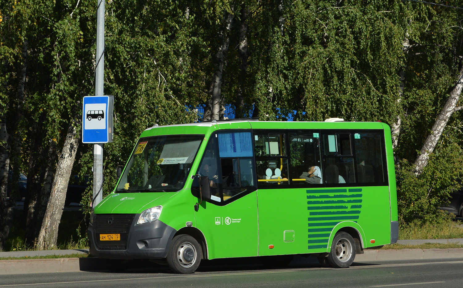 Тюменская область, Луидор-2250DS (ГАЗ Next) № АМ 124 72