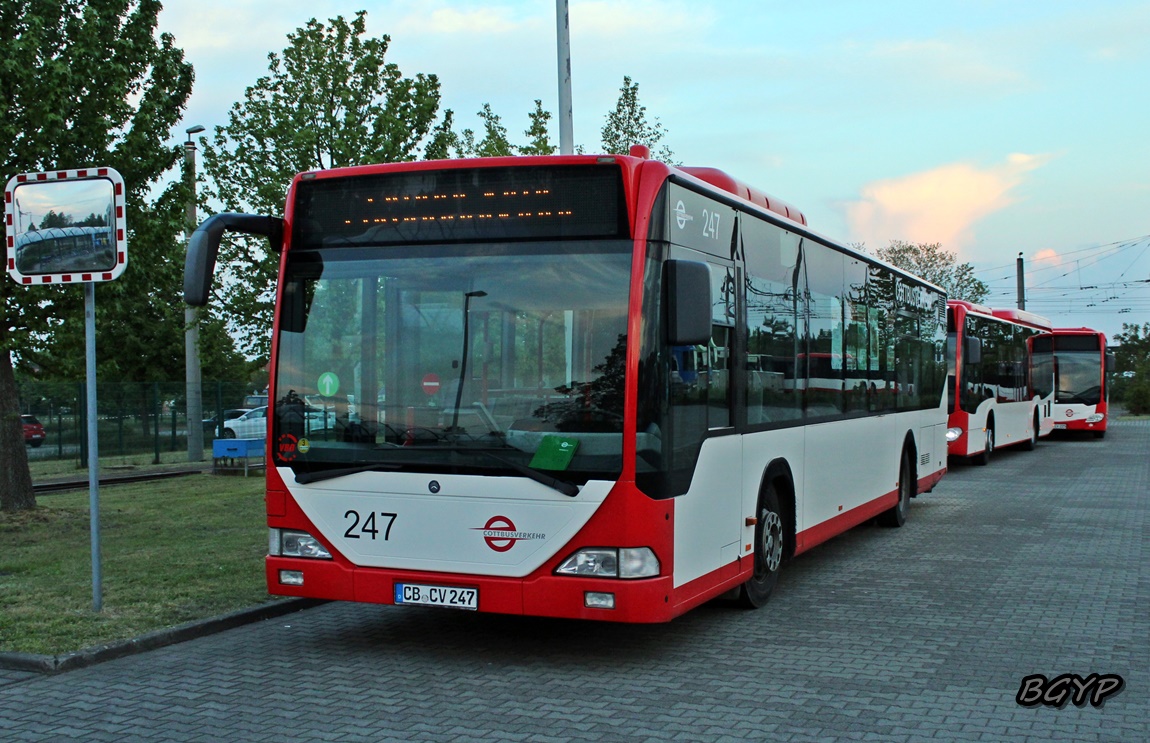 Бранденбург, Mercedes-Benz O530 Citaro № 247