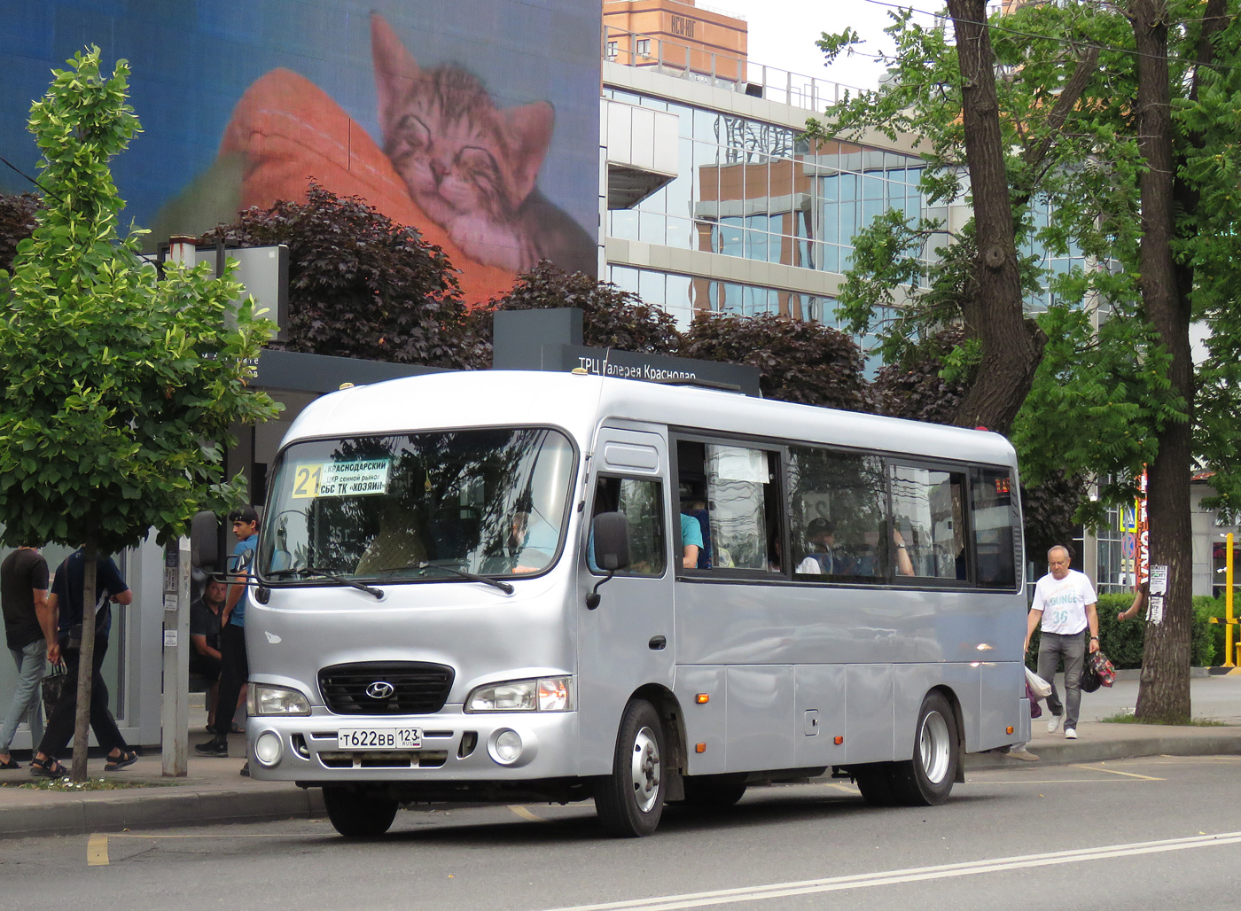 Краснодарский край, Hyundai County LWB C09 (ТагАЗ) № Т 622 ВВ 123