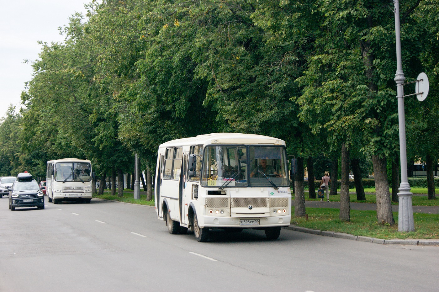 Новгородская область, ПАЗ-320540-12 № 117