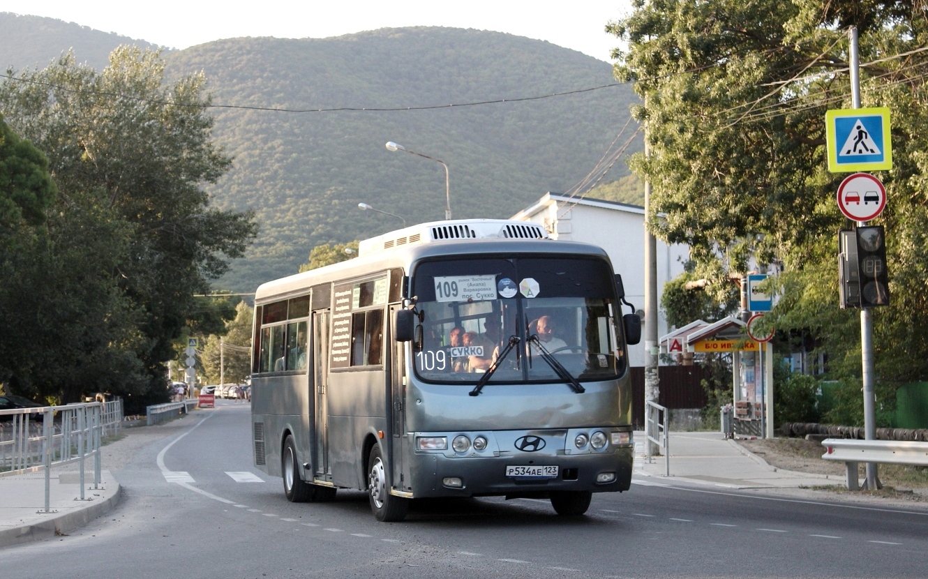 Краснодарский край, Hyundai AeroTown № Р 534 АЕ 123