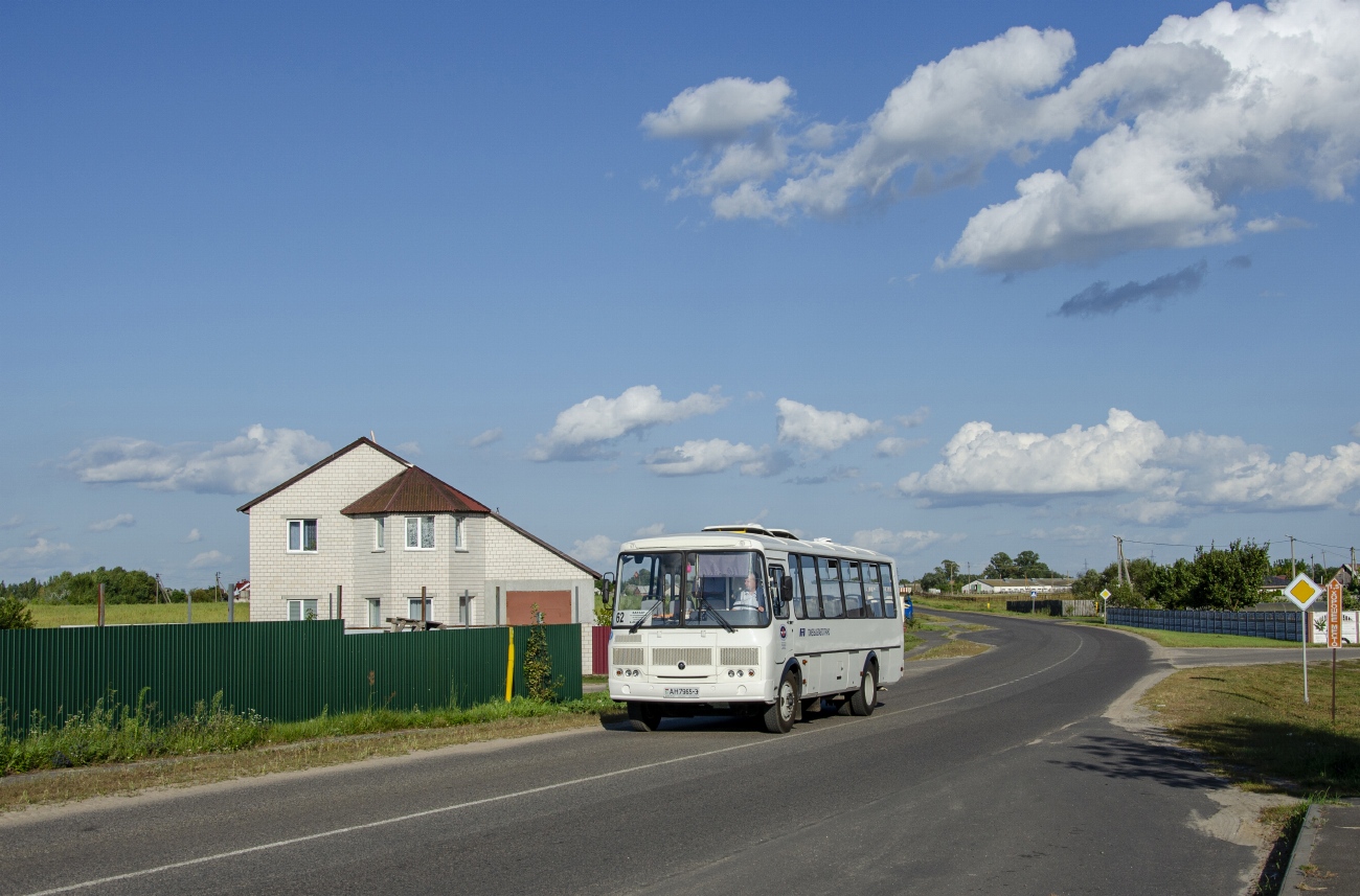 Гомельская область, ПАЗ-4234-04 № 037265